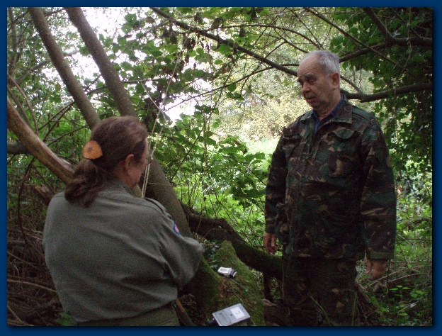 600x449 pixels (181K)